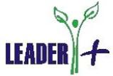 LEADER plius logo